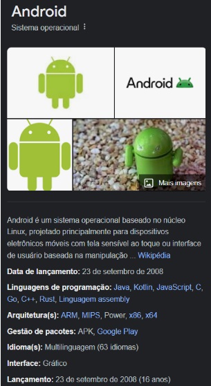 Print do Google mostrando informações do sistema operacional Android