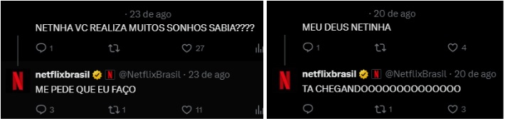 Print mensagem Netflix no twitter